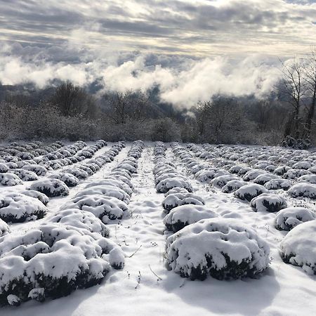 Kuca Za Odmor Koprivnjak Tomasevci Dış mekan fotoğraf